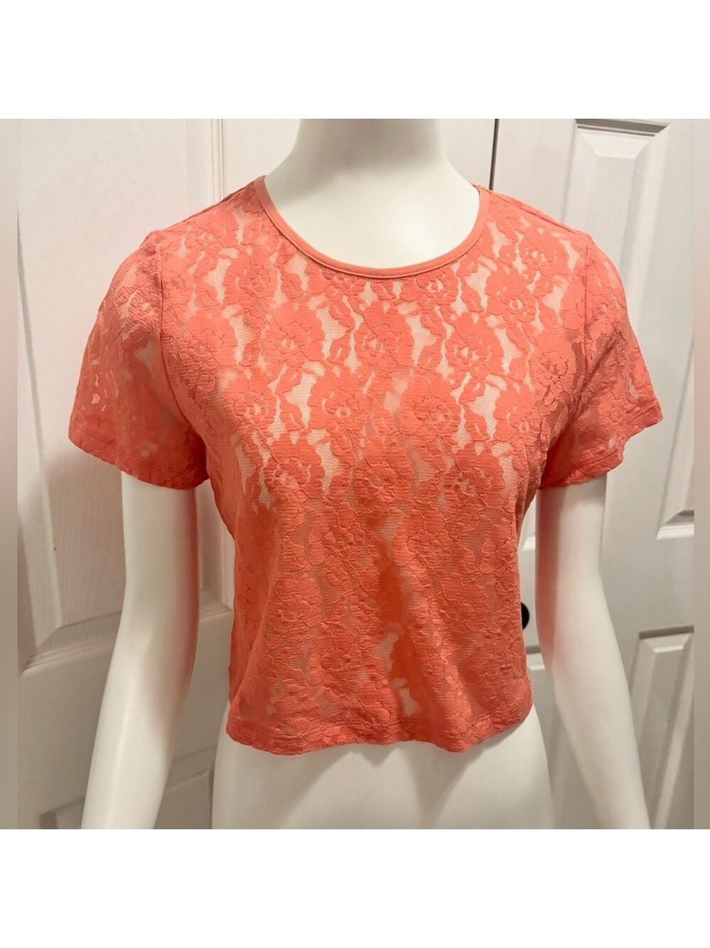 Anthropologie Lace Top Orange Coral Short Sleeve Crop Shirt Size Large